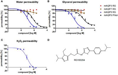 RG100204, A Novel <mark class="highlighted">Aquaporin-9</mark> Inhibitor, Reduces Septic Cardiomyopathy and Multiple Organ Failure in Murine Sepsis